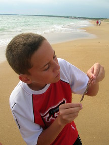 STAGE DECOUVERTE DU SURF-CASTING en VENDEE en Groupe STAGE DECOUVERTE DU SURF-CASTING en VENDEE en Groupe