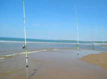 PECHE EVAS'YON en VENDEE? PECHE EVAS'YON en VENDEE?