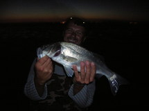 DECOUVERTE SURF-CASTING en VENDEE, de NUIT  DECOUVERTE SURF-CASTING en VENDEE, de NUIT