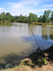 DESCRIPTIF STAGE PECHE DE LA CARPE AU QUIVER en VENDEE