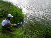 DESCRIPTIF DU STAGE DE PECHE AUX GARDONS en VENDEE en Groupe