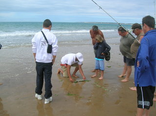 Surf-Casting en Vendée 85 (12).JPG